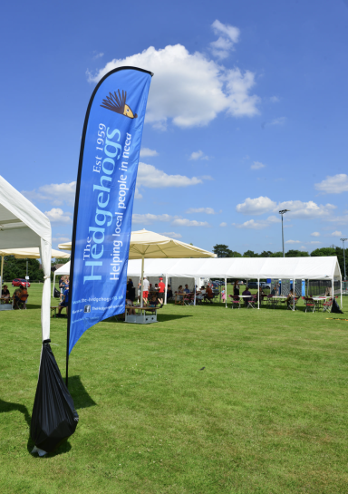 Sail Banner and Marquee (without sides)